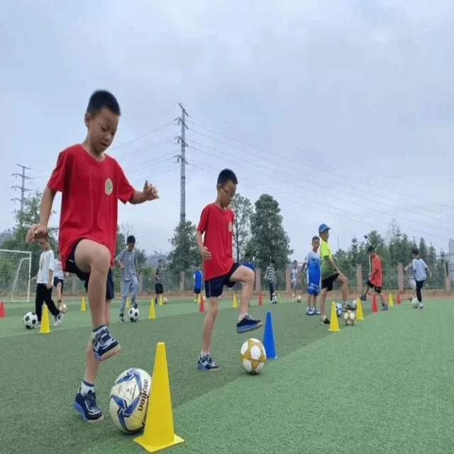 电竞季后赛战术变化与阵容解析的深度视角